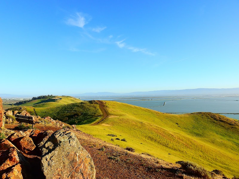 Coyote Hills Vista Point