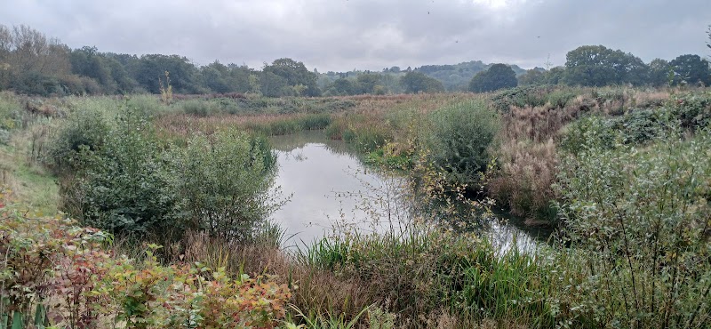 Goodyer Meadows
