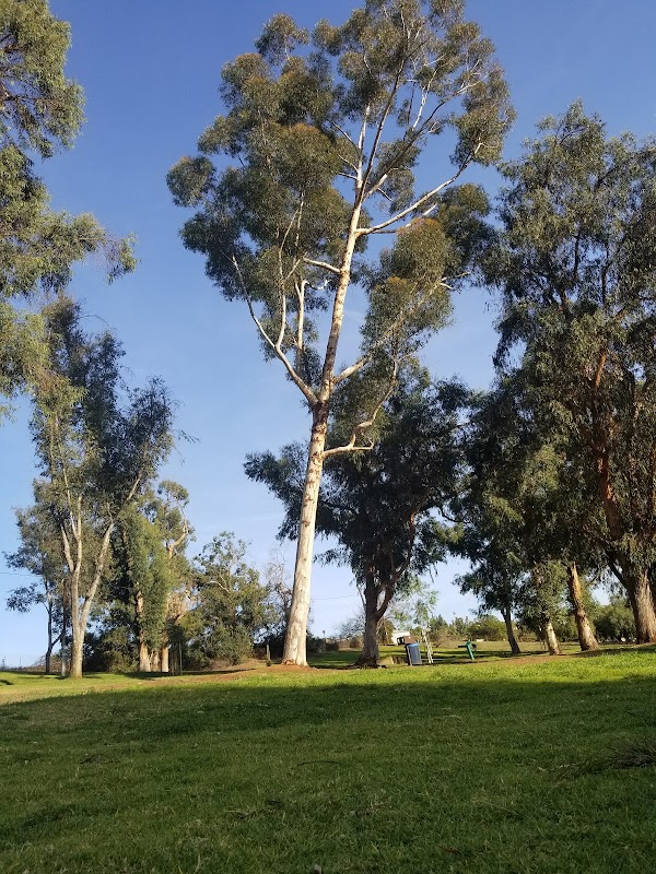 Eucalyptus County Park