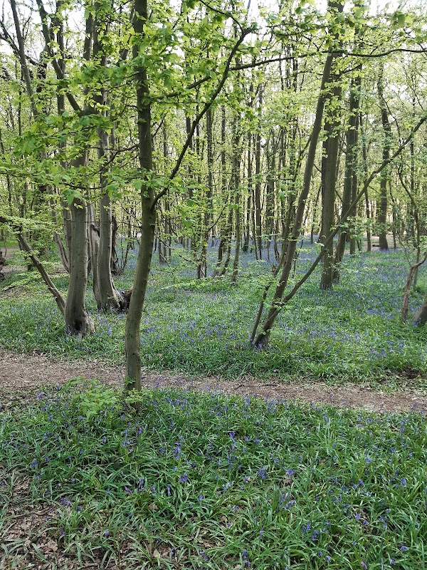 Cranham Brickfields Open Space