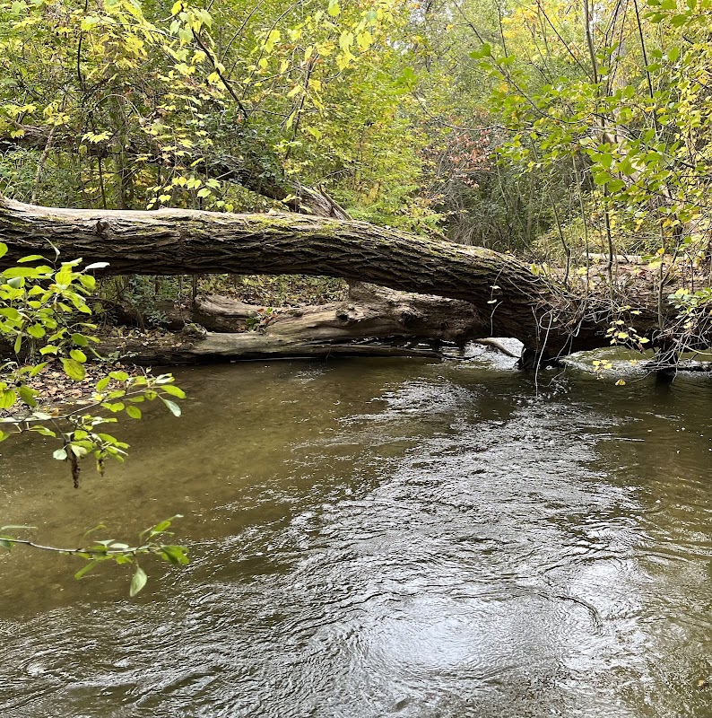 Paint Creek Junction Park
