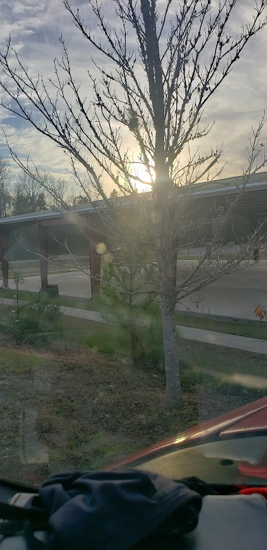 Green Earth Basketball Pavilion