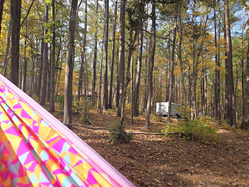 Holly Point Loop 2 Campgrounds