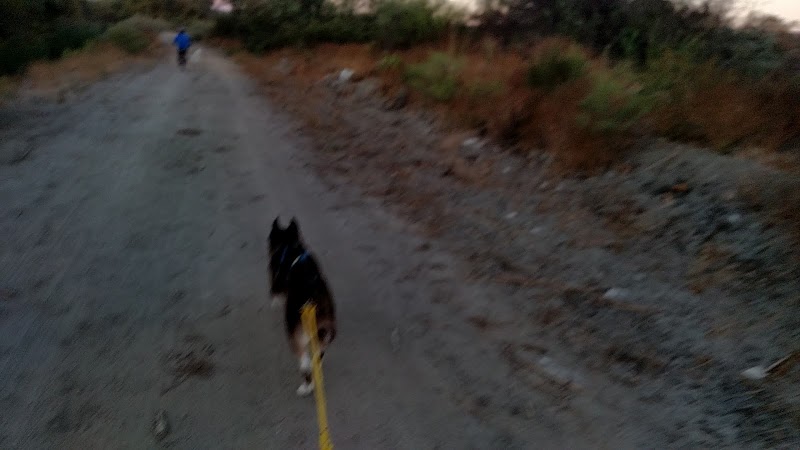 Camp Pendleton Game Warden