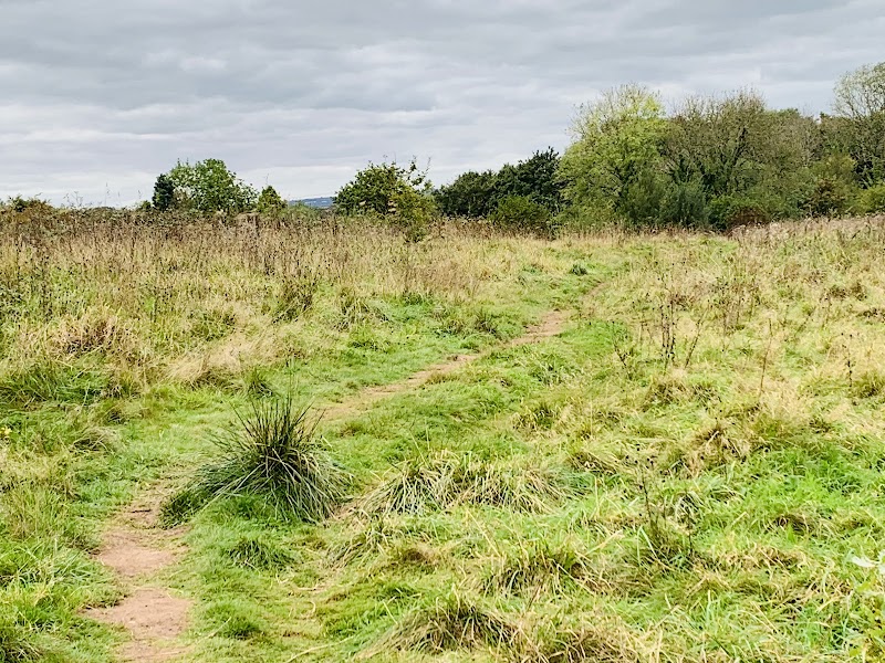 Nant Fawr Meadows