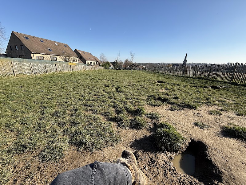 Hondenloopweide "Woluwe"