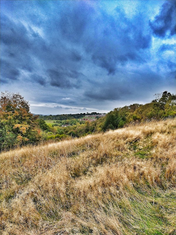 Little Dawley Nature Reserve