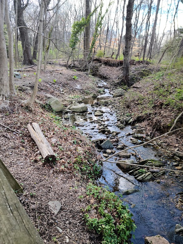 Buehler Park Nature Study Area