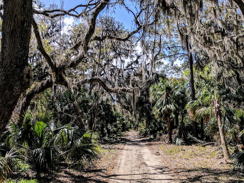 Ossabaw Island State Heritage Preserve