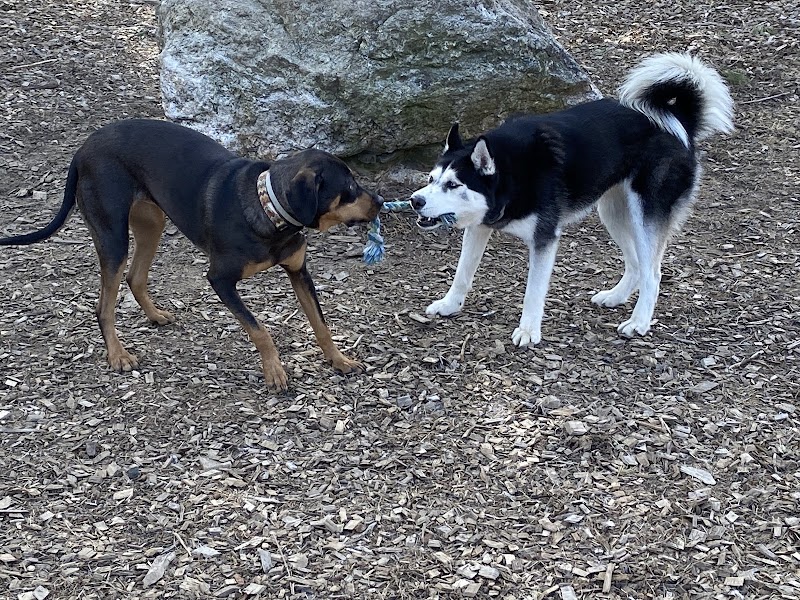 Phaiah's Dog Park