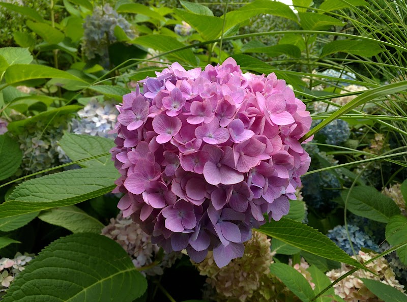 Chappaqua Pocket Park