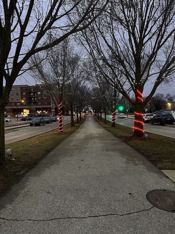 Uptown Normal Water Circle