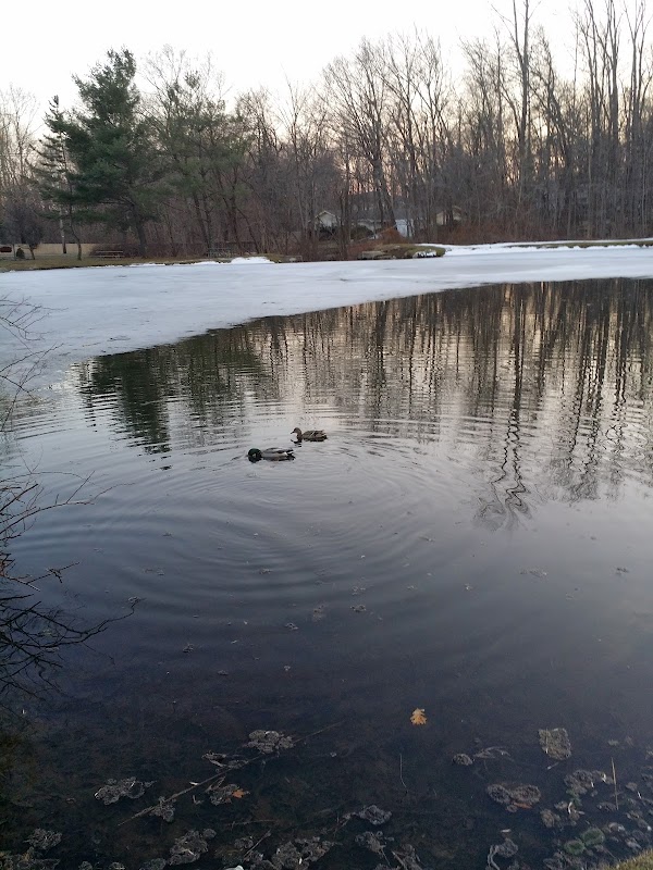 Airmount Park