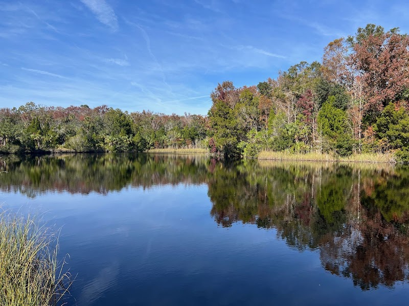 Hog Pond Trail Withlacoochee State Forest