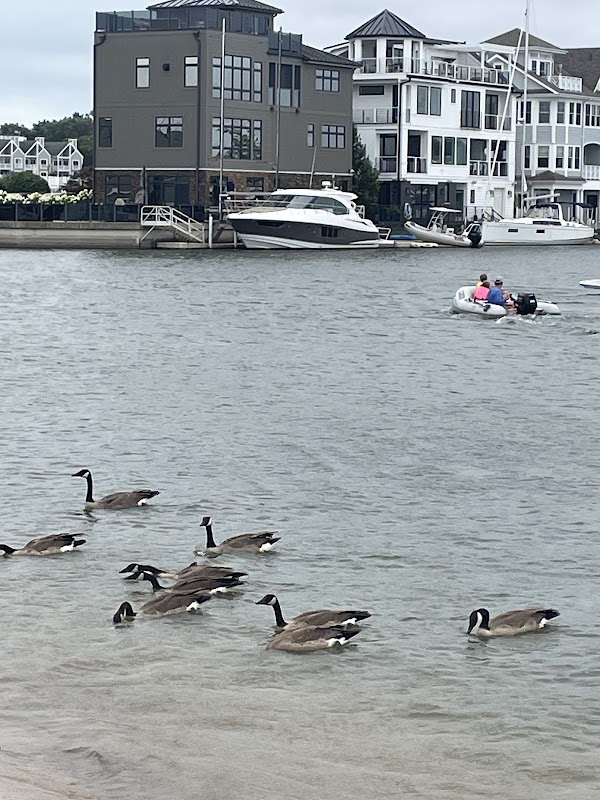 Welcome To Michigan Sign