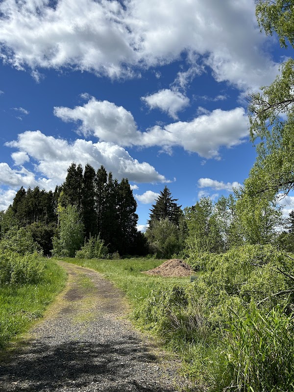 Wilkes Creek Headwaters