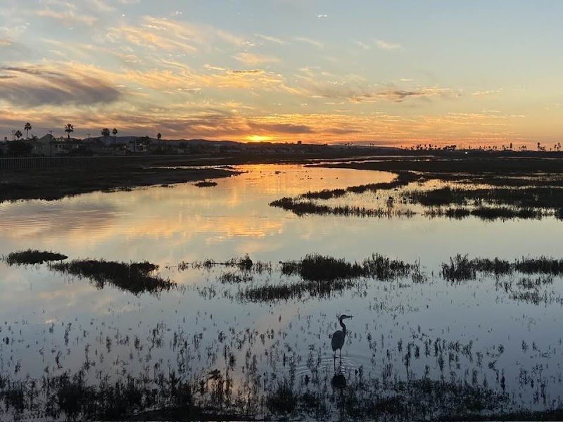 Brookhurst Marsh