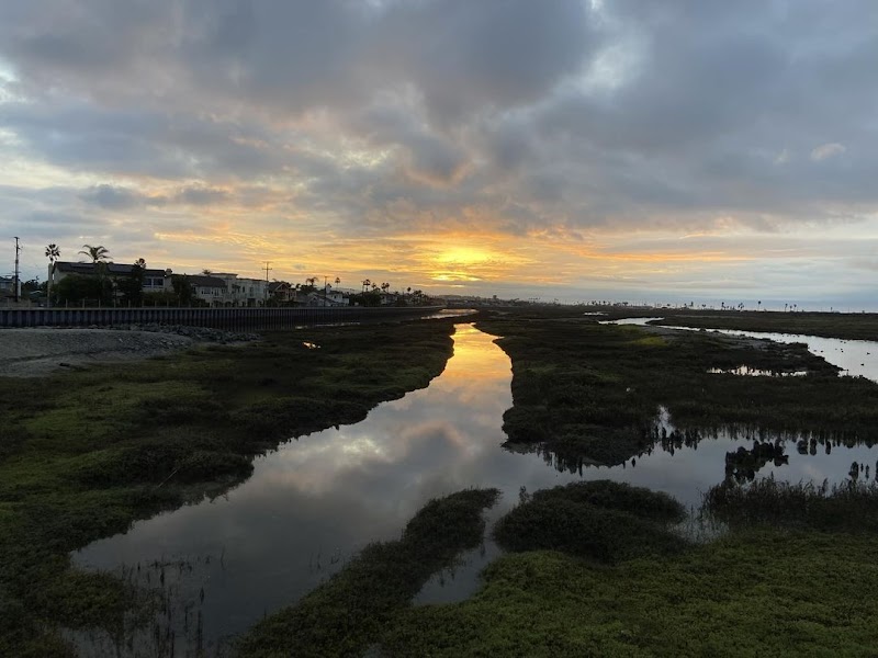 Brookhurst Marsh