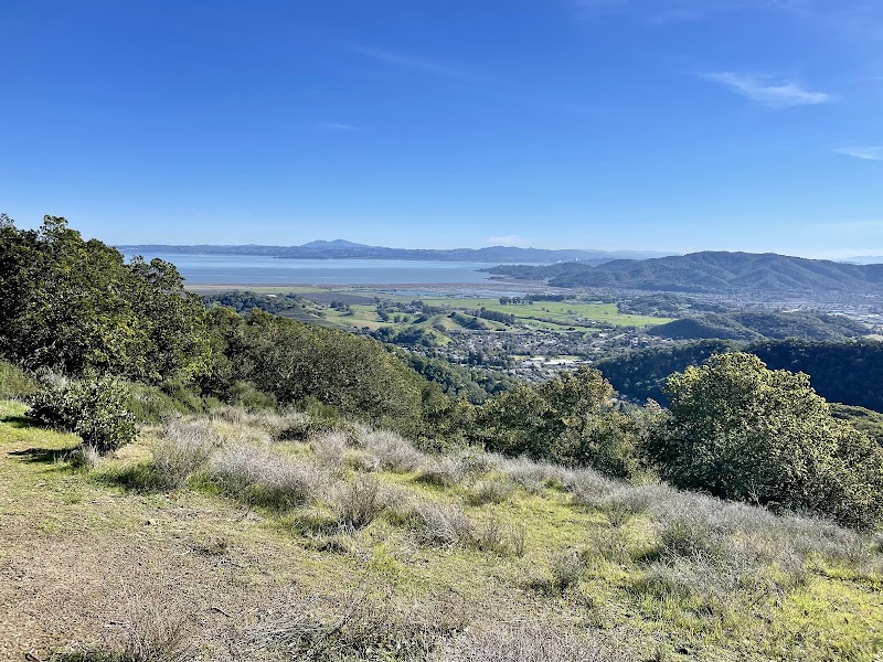 Marinwood Open Space