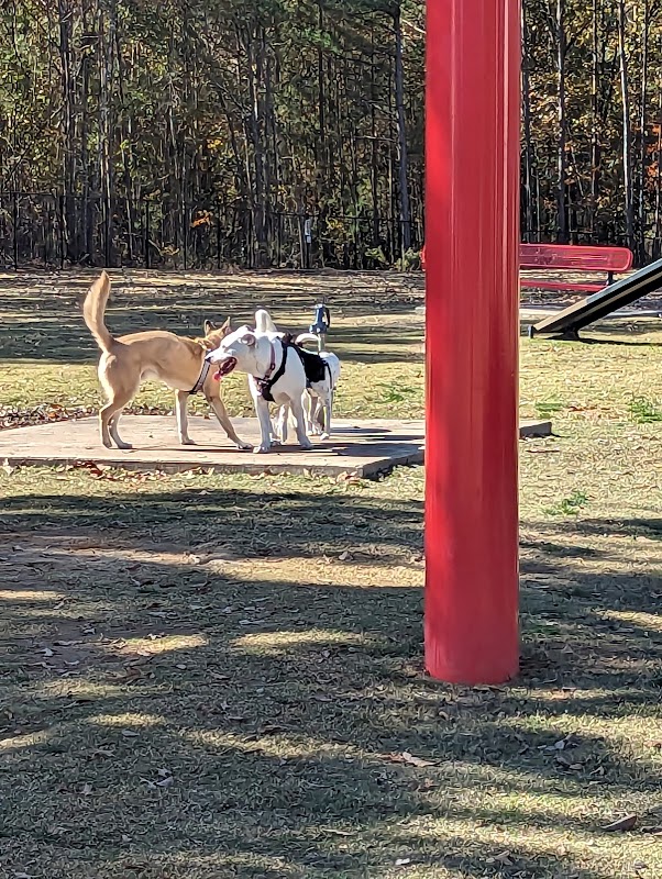 Bailey Lake Dog Park