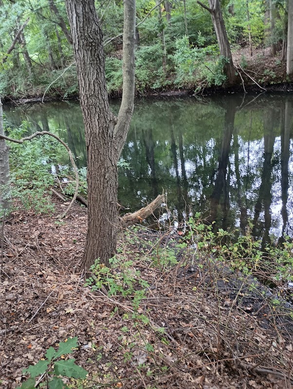 Milford Land Conservation Trust: Boston Post Rd