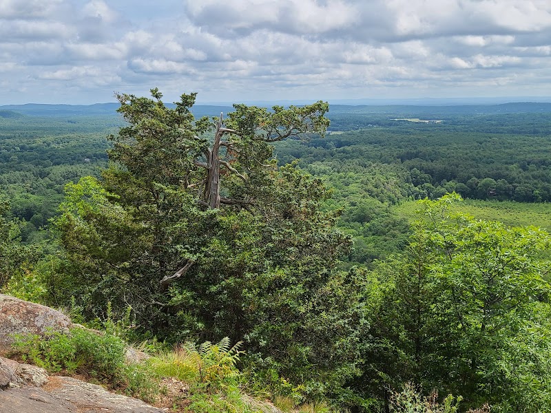 West Mountain Trails