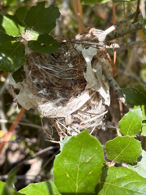 Santa Margarita Ecological Reserve