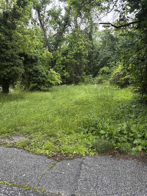 2.5 acre Forested Openspace & Wetlands Habitat - East Towson