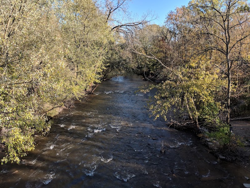 Irene C. Hernandez Family Picnic Grove