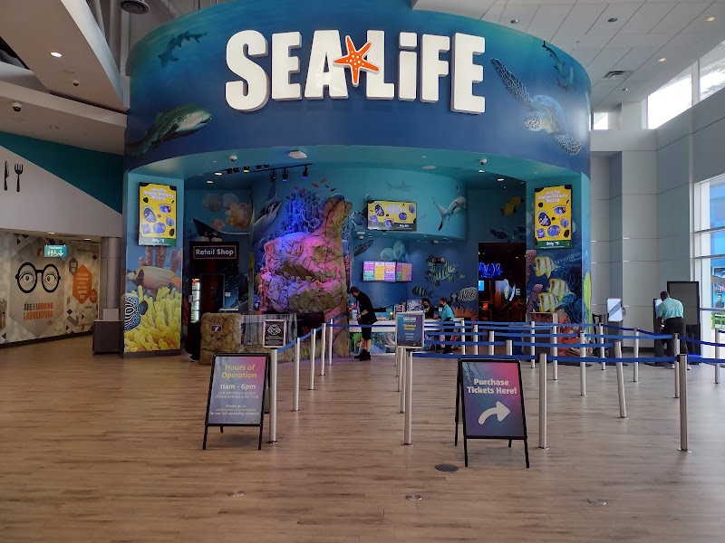 SEA LIFE Orlando Aquarium