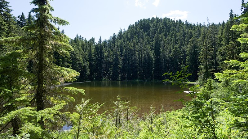 Lily Creek Tributary Lake