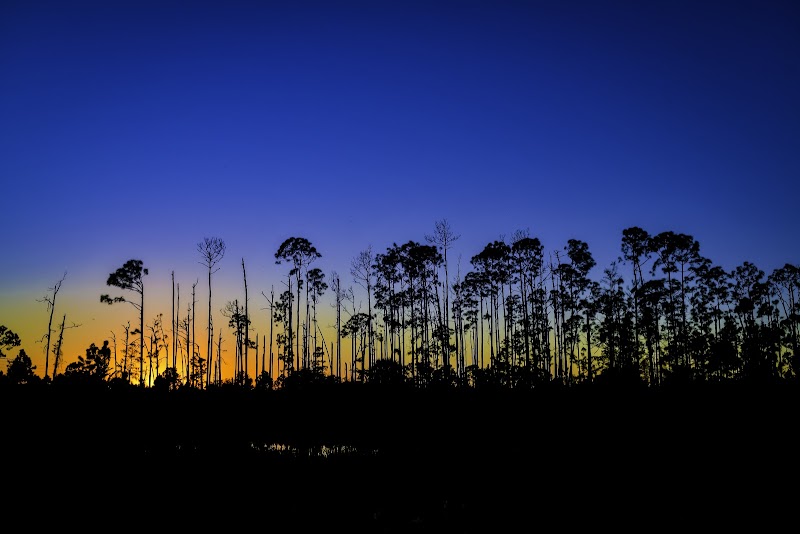 CREW Flint Pen Strand, Lakes Parking Lot
