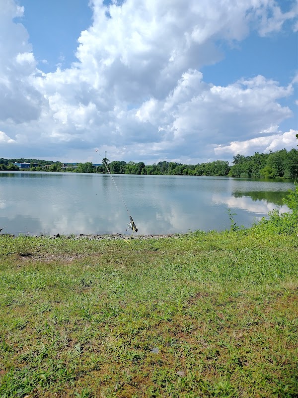 Walt Road Day Use Area