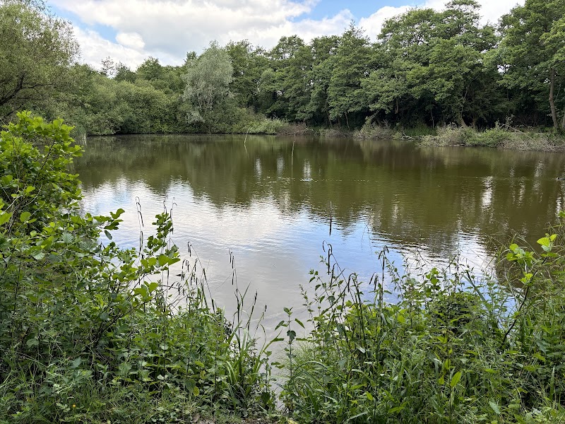 Darlands Nature Reserve
