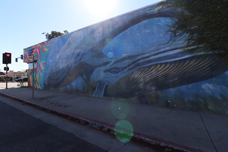 Whale Mural