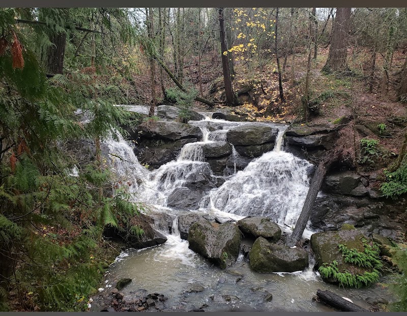 Cedar Mill Falls