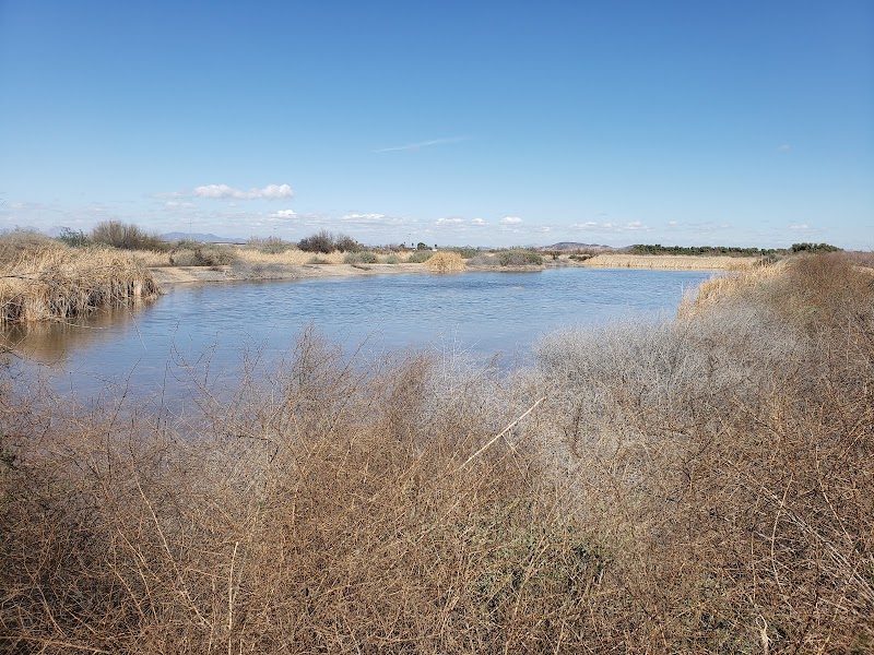Arlington Wildlife Area