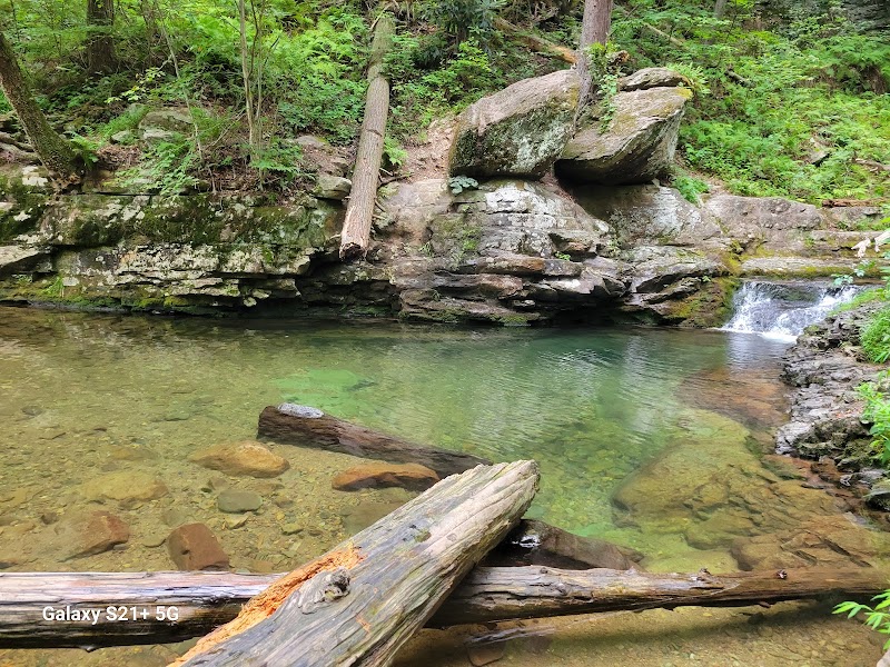Dunnfield Creek Natural Area