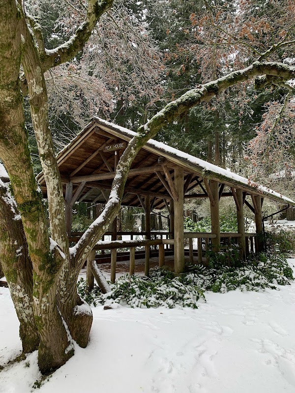 Log Tea House Pavilion