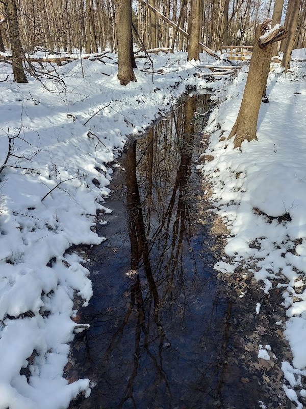 Irene Gossin Nature Preserve