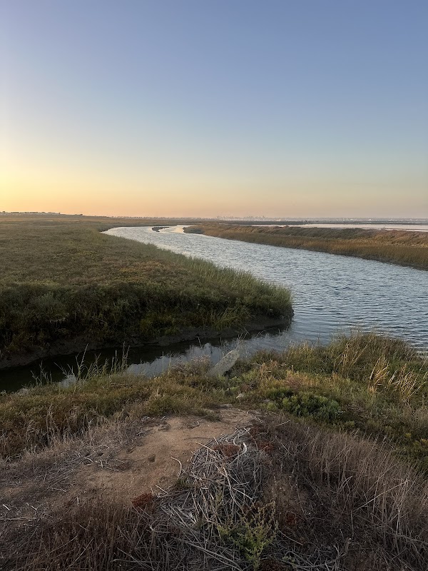 Franky Sesma bench view