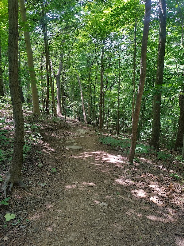 Toms Run Nature Reserve