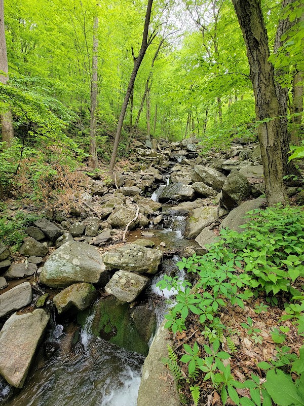 Musconetcong River Reservation