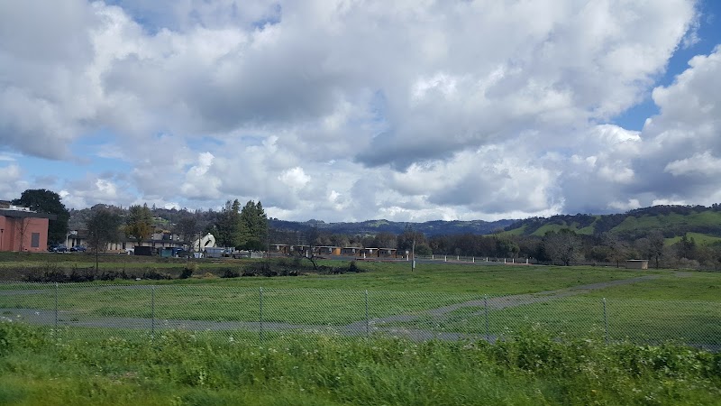 Tom Schopflin Fields