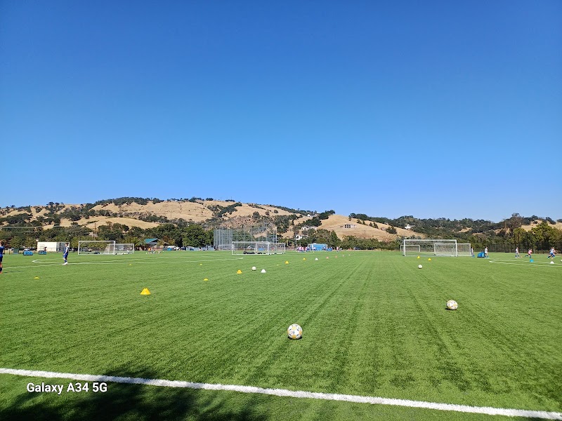 Tom Schopflin Fields