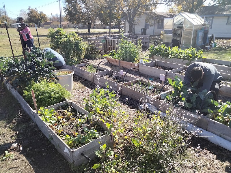 Bundrant Community Garden - Kelly's Garden