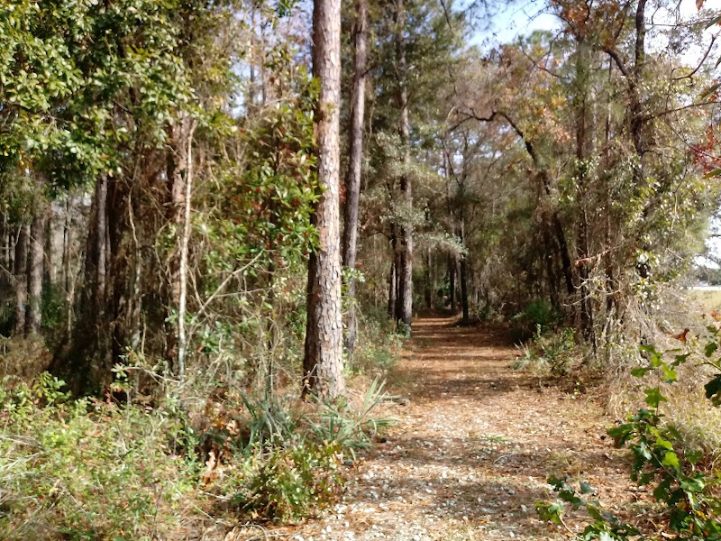 Palmetto Leaves Regional Park - South Entrance Parking