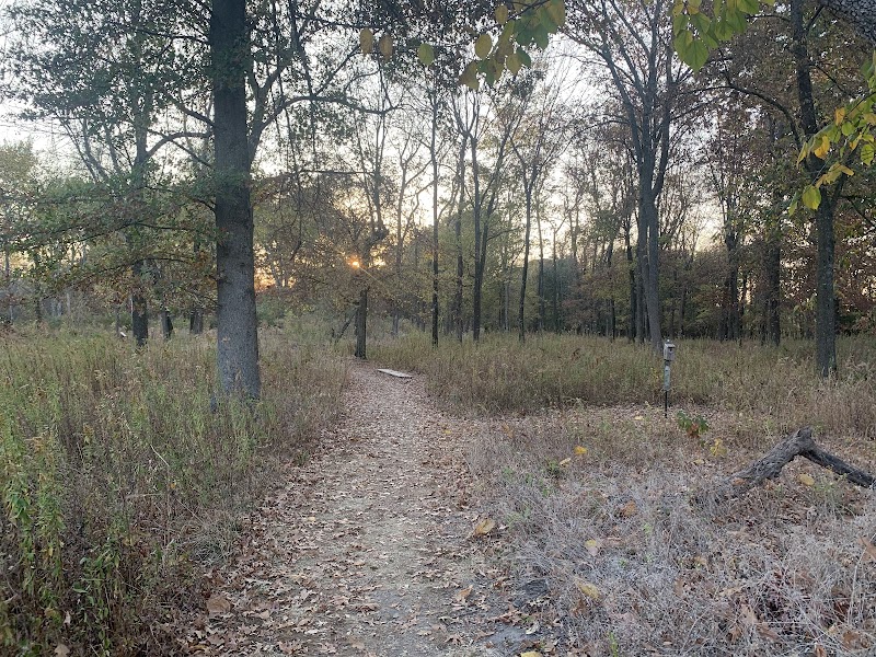 Wilson Springs Nature Preserve