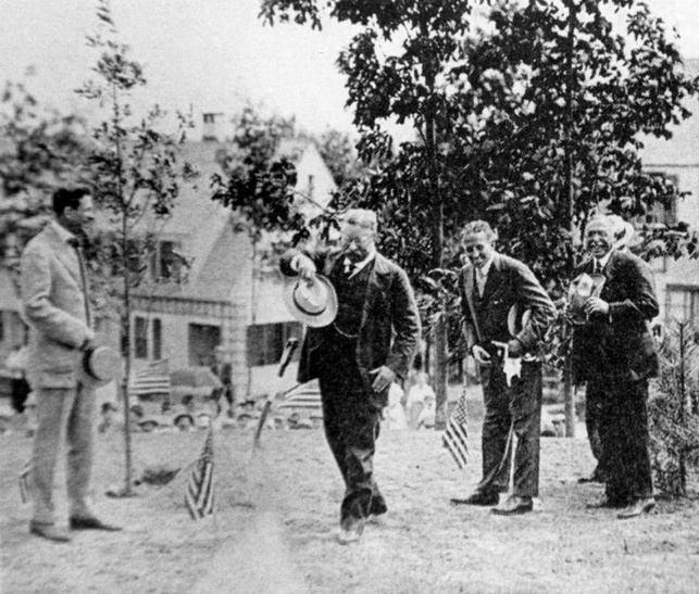 Roosevelt Oak - GWLT