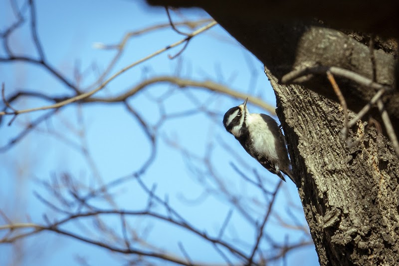 Tacony Creek Park, Tabor Rd Gateway